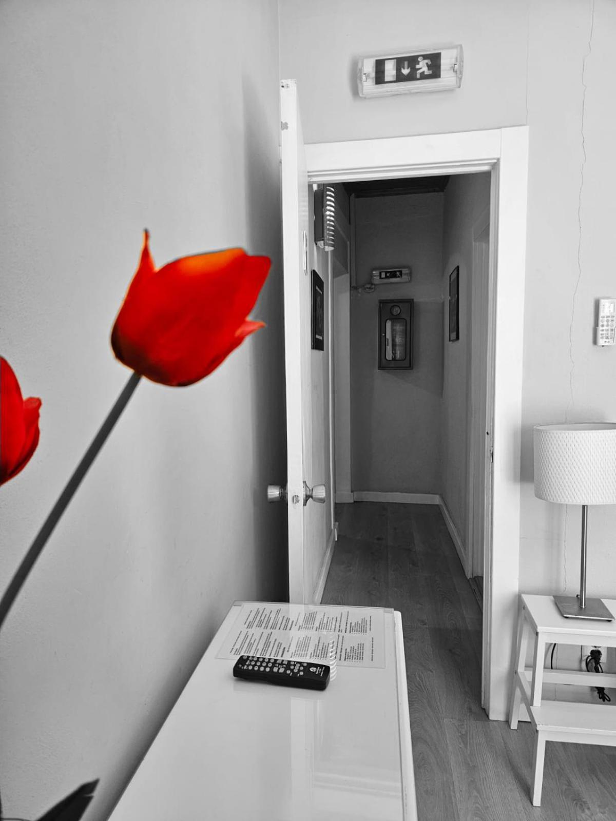 Alcamim Guesthouse Элваш Экстерьер фото